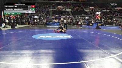 133 lbs Champ. Round 1 - Daniel Haws, Centenary (NJ) vs Dominik Mallinder, Wis.-Whitewater