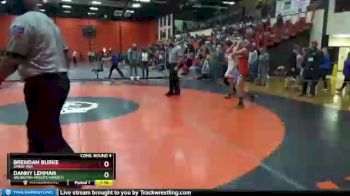 106 lbs Cons. Round 4 - Danny Lehman, Arlington Heights (HERSEY) vs Brendan Burke, AMERY (WI)