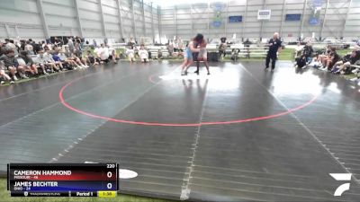 220 lbs Placement Matches (8 Team) - Cameron Hammond, Missouri vs James Bechter, Ohio