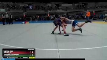 102 lbs Semis & 1st Wrestleback (8 Team) - Thaddeus Young, Brainerd/Pillager vs Jacob Ess, Waconia