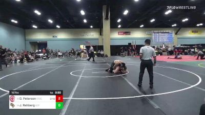 197 lbs Round Of 32 - Davyn Peterson, Springfield Tech vs Jason Rehberg, Central Florida