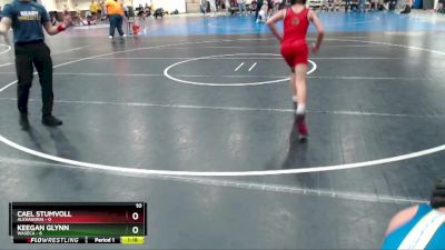 95 lbs Placement (4 Team) - Keegan Glynn, Waseca vs Cael Stumvoll, Alexandria