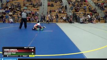 70 lbs Cons. Round 4 - Ayden Sebesta, Crass Trained Wrestling vs Breckin Falb, Moyer Elite