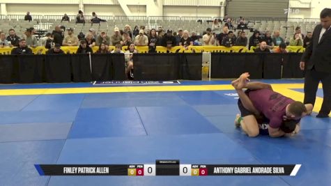 Anthony Gabriel Andrade Silva vs Finley Patrick Allen 2025 World IBJJF Jiu-Jitsu No-Gi Championship