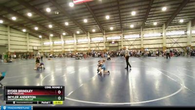 48 lbs Cons. Round 3 - Ryder Brindley, Elite Wrestling vs Skyler Anderton, AndertonWrestling.com