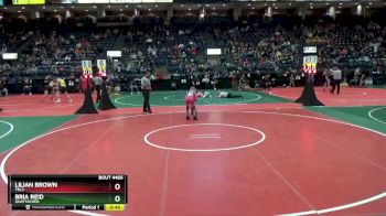 108 lbs Cons. Semi - Lilian Brown, TBL3 vs Bria Reid, Unattached