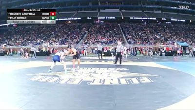 D4-144 lbs Quarterfinal - Beckett Campbell, Hudson vs Filip Nowak, Vermontville Maple Valley