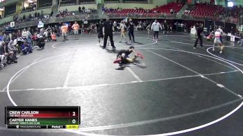 110 lbs Quarterfinal - Crew Carlson, The Best Wrestler vs Carter Hanes, Seward Wrestling Club