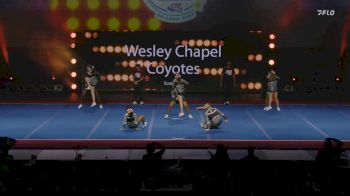 Wesley Chapel Coyotes - Southeast [2024 FYD Pop Warner Thursday] 2024 Pop Warner National Cheer & Dance Championship