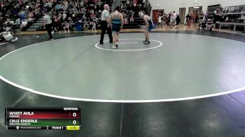 125 lbs Semifinal - Cruz Enderle, Greater Heights vs Wyatt Avila, Phenom