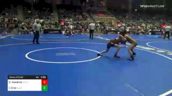 100 lbs Consolation - Daisey Hawkins, Mayo Quanchi vs Isabella Cruz, All American WC