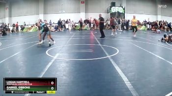 145 lbs Champ. Round 1 - Gabriel Gibbons, Wyandotte Bears vs Logan Hartzell, Perrysburg Wrestling Club