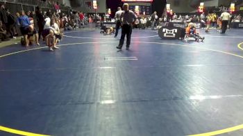 110 lbs Quarterfinal - Tanner Herrold, Bald Eagle vs Adam Wells, Wyalusing