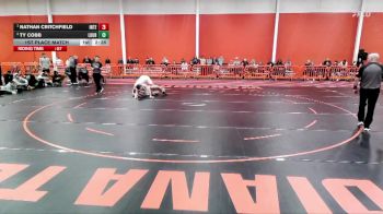 197 lbs 1st Place Match - Nathan Critchfield, Indiana Tech vs Ty Cobb, Lourdes University