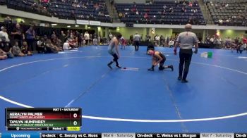 100 lbs Round 4 - Aeralyn Palmer, Summit Wrestling Academy vs Taylyn Humphrey, Humboldt Wildcat Wrestling Clu