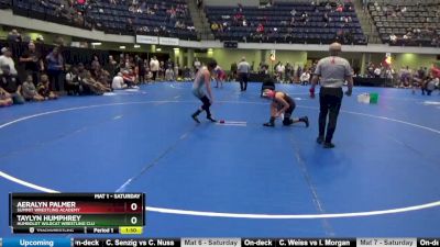 100 lbs Round 4 - Aeralyn Palmer, Summit Wrestling Academy vs Taylyn Humphrey, Humboldt Wildcat Wrestling Clu