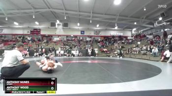149 lbs Champ. Round 2 - Anthony Wood, West Liberty vs Anthony Nunes, UMary