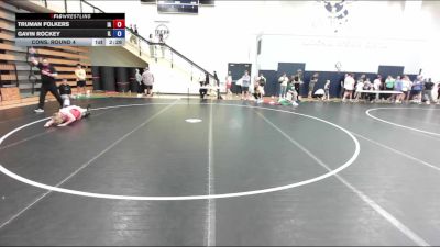 132 lbs Cons. Round 4 - Truman Folkers, IA vs Gavin Rockey, IL