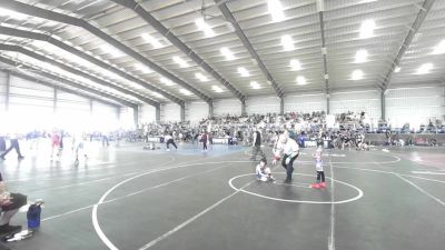 43 lbs Consolation - Niko Ortega, Desert Dogs WC vs Emily Palomino, Nm Beast