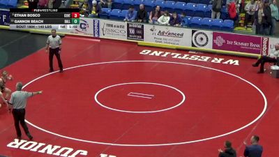 140 lbs Quarterfinal - Ethan Bosco, Central Valley vs Gannon Beach, Dallastown