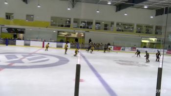 Replay: Home - 2023 Colts U10 AAA vs Gaels U10 | Nov 23 @ 12 PM