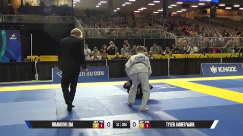 Tyler James Wahl vs Brandon Lim 2025 Pan Kids Jiu-Jitsu IBJJF Championship