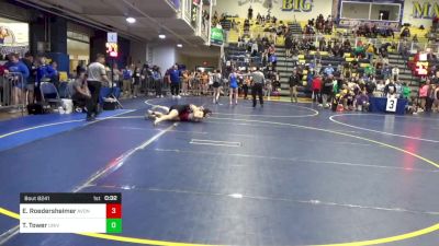 142 lbs Consy 3 - Eva Roedersheimer, Avonworth vs Toria Tower, University-WV