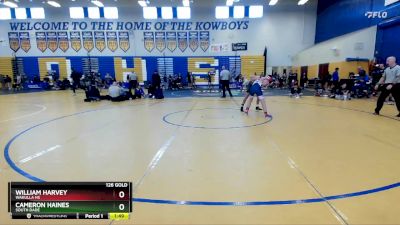 126 Gold Round 3 - William Harvey, Wakulla Hs vs Cameron Haines, South Dade