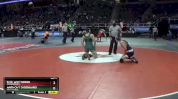 I-172 lbs Cons. Round 2 - Anthony Digennaro, Massapequa vs Eric Wetherbee, Sachem North