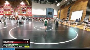 132 lbs Cons. Semi - Brynk Davis, Lincoln Middle School vs Manuel Ramos, Riverton Middle School