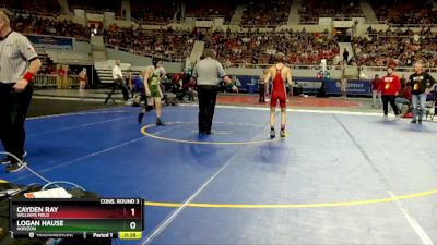 D2-106 lbs Cons. Round 3 - Logan Hause, Horizon vs Cayden Ray, Williams Field