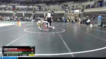 50 lbs Semis (4 Team) - Liam Hamacher, Becker vs Gannon Bendickson, NLS (New London/Spicer)