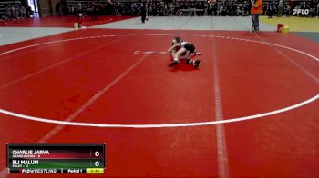 65 lbs Semis (4 Team) - Eli Malum, Foley vs Charlie Jarva, Grand Rapids