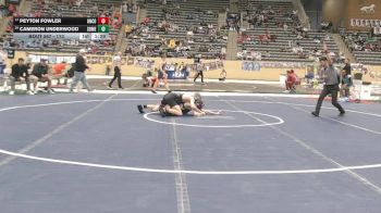 113 lbs Quarterfinal - Peyton Fowler, Union County vs Cameron Underwood, Somerset
