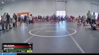 65 lbs Round 1 (4 Team) - Aria Bushaw, Carolina Reapers vs Bryce Eller, JET