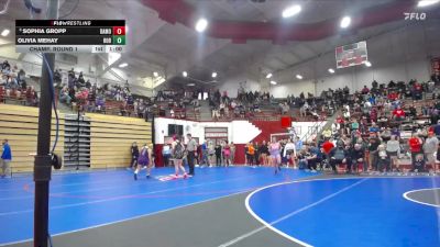 155 lbs Champ. Round 1 - Sophia Gropp, Wes-Del vs Olivia Mehay, Hobart