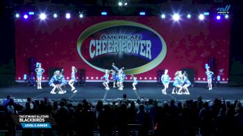 The Stingray Allstars - Blackbirds [2025 L3 Junior Day 1] 2025 Cheer Power Grand Nationals
