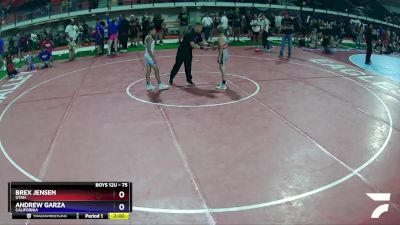 75 lbs Semifinal - Brex Jensen, Utah vs Andrew Garza, California