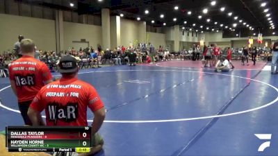 45 lbs Round 4 (8 Team) - Hayden Horne, Williamson County WC vs Dallas Taylor, Panhandle Punishers