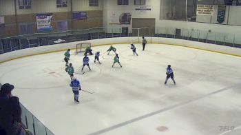 Replay: Home - 2025 Bearcat Grn vs Team One U14 | Jun 7 @ 8 AM