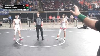 D 3 106 lbs 1st Place Match - Noah Leblue, Basile vs Keihl Callaghan, De La Salle