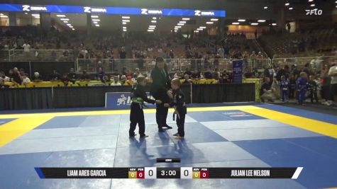 Julian Lee Nelson vs Liam Ares Garcia 2025 Pan Kids Jiu-Jitsu IBJJF Championship