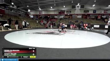 197 lbs Quarterfinal - Derek Blubaugh, Indianapolis vs Wyatt Miller, Grand Valley State