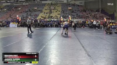 165 lbs Round 1 (16 Team) - Andrew Supers, Baldwin Wallace vs Brayden Peet, Wisconsin-Whitewater