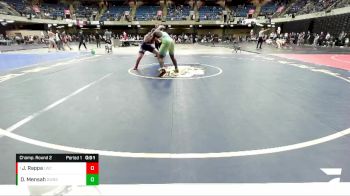 175 lbs Champ. Round 2 - John Rappa, Rolling Meadows vs Daniel Mensah, Downers Grove South