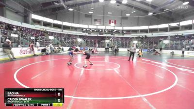 101 lbs Champ. Round 3 - Bao Ha, West Springfield vs Caiden Hwalek, Union-Endicott Sr HS