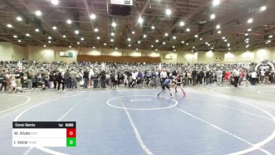 81 lbs Consolation - Wesley Alves, Spring Hills WC vs Izaiah Voice, Team Viper