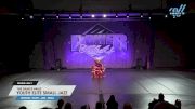 The Dance Vault - Youth Elite Small Jazz [2025 Youth - Jazz - Small Day 1] 2025 Power Dance Grand Nationals
