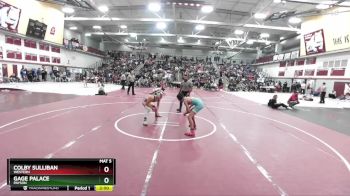 113 lbs Quarterfinal - Colby Sulliban, Western vs Gage Palace, Payson