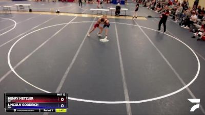 92 lbs Quarterfinal - Henry Metzler, WI vs Lincoln Goodrich, MN